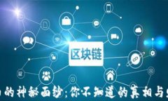 揭开冰币的神秘面纱：你不知道的真相与财富机