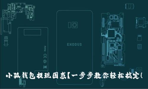 小狐钱包提现困惑？一步步教你轻松搞定！