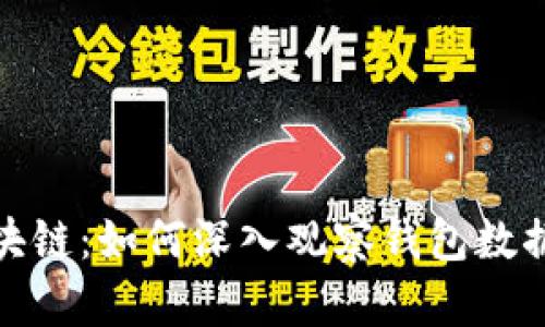 探索区块链：如何深入观察钱包数据的秘密