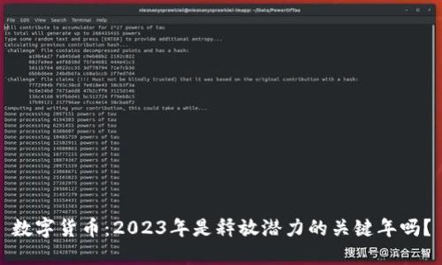 数字货币：2023年是释放潜力的关键年吗？