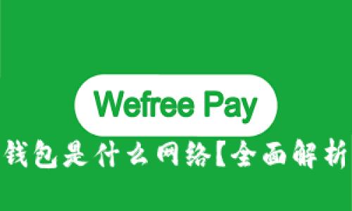 MetaMask钱包是什么网络？全面解析与使用指南