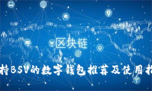 支持BSV的数字钱包推荐及使用指南