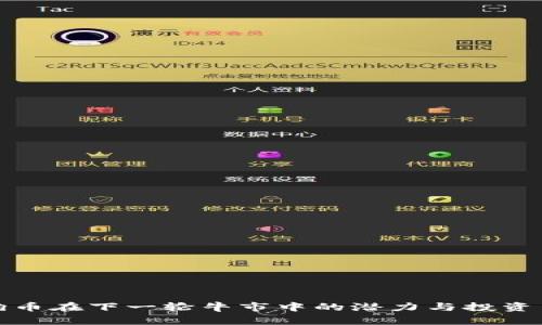 狗狗币在下一轮牛市中的潜力与投资策略