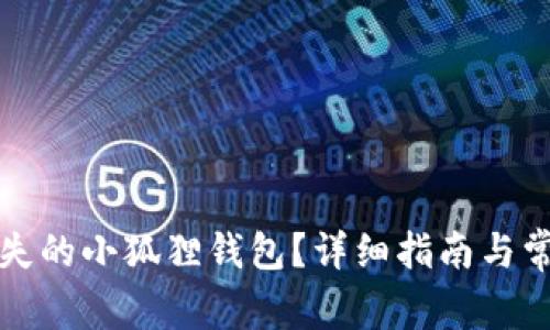 如何找回丢失的小狐狸钱包？详细指南与常见问题解答