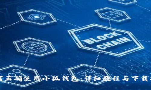 如何正确使用小狐钱包：详细教程与下载指南