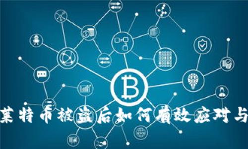 加密钱包莱特币被盗后如何有效应对与避免风险