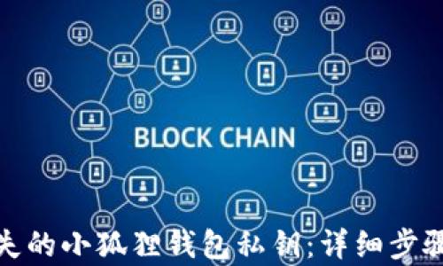 
如何恢复丢失的小狐狸钱包私钥：详细步骤与防范措施