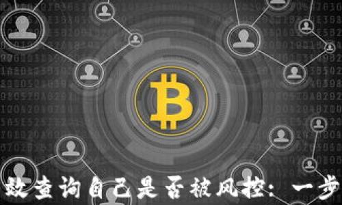 
如何有效查询自己是否被风控: 一步步指南