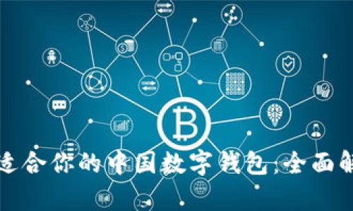 如何选择适合你的中国数字钱包：全面解析与推荐