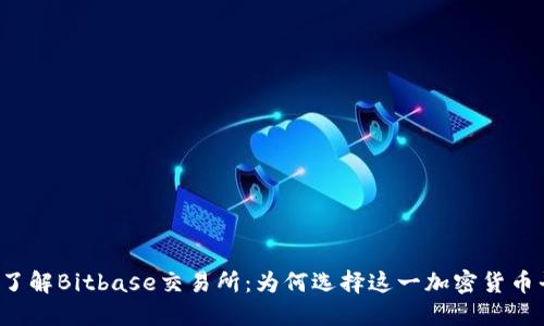 深入了解Bitbase交易所：为何选择这一加密货币平台？