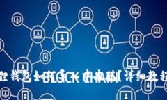 : 小狐狸钱包如何导入中本聪？详细教程与技巧