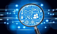 深入解析区块链交易ID的应用与信息查询